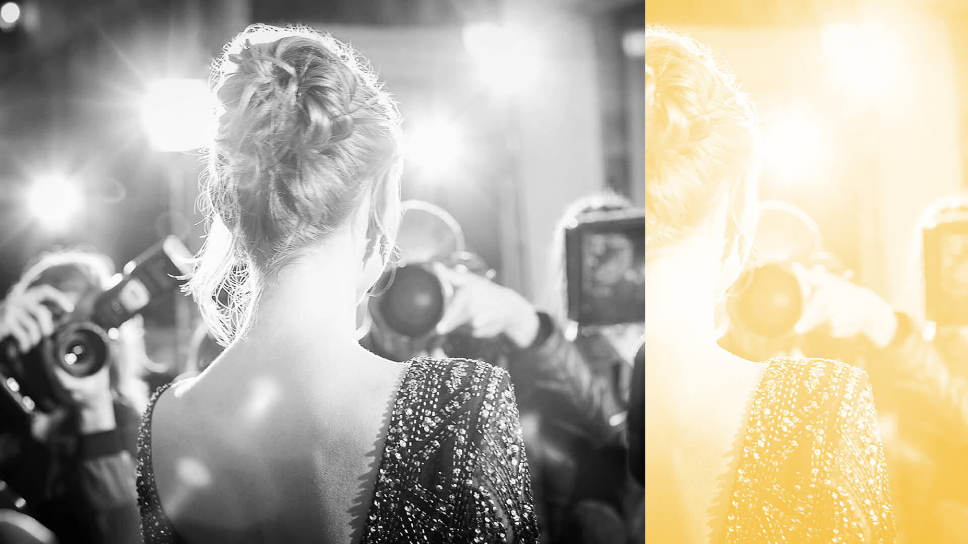 Do You Need a Star to Sell Your Film? Wrapbook